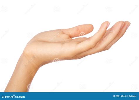 hand stock image